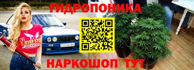 а пвп мука Аша